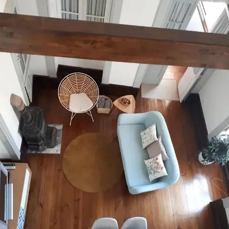 Ficus Benjamina Apartment *