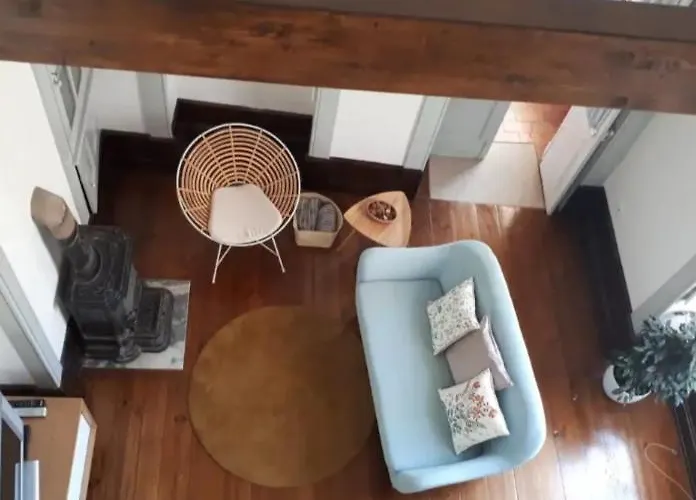 Ficus Benjamina Appartement *