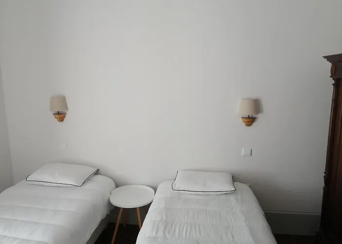 Appartement Ficus Benjamina Aveiro